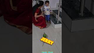 😂TomampJerry chase in our house🏠  vlog 376 shorts talabtales minivlog [upl. by Grove]