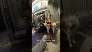 Train interactions with my dog youtubeshorts train travel subway tube viral pet beautiful [upl. by Glanville]