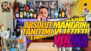 Absolut Vodka Mandrin Mandalin Tanıtımı ve Lezzeti [upl. by Timmy]