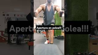 Apertura en polea  pectoral workout [upl. by Housum]