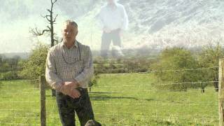 Gundog Training at Shropshire Gundogs [upl. by Vinia]