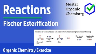 Fischer Esterification [upl. by Eilujna532]