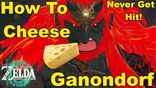 How To Cheese Demon King Ganondorf  NEVER TAKE DAMAGE FROM HIM  TLOZ Tears Of The Kingdom [upl. by Osswald]