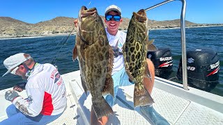 Insane Grouper Fishing [upl. by Haven]