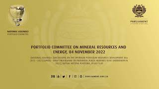 Portfolio Committee on Mineral Resources and Energy 04 November 2022 [upl. by Melony]