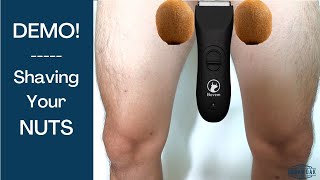 DEMO How to Shave Your Balls  Bovem Globe Trimmer Review  Best Ball Trimmer 2021 [upl. by Iralav300]