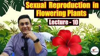 Sexual Reproduction in Flowering Plants l Lecture 10 l Biology l NEET [upl. by Nerak720]