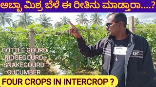 ಇವರು ಕೃಷಿ ಮಾಡುವ ಯೋಜನೆಯೇ ಅದ್ಬುತ ಅಲ್ಲವೇ EXCELLENT INTERCROP DETAILS [upl. by Rustice29]