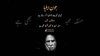 Jaun Elia Poetry jauneliapoetry urdupoetry watsappstatus ytshorts viralvideo explore [upl. by Eekram]