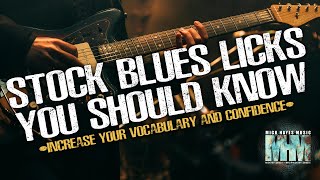 STOCK BLUES LICKS YOU SHOULD KNOW  GUITAR LESSON [upl. by Neila]