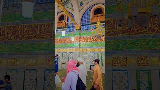 Reality Of Prophets In Qyamat nabi live islamicsayings religion madina qyamat shorts yt [upl. by Nnayram297]