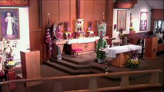 800am Holy Mass  Sunday June 16 2024 [upl. by Dweck]