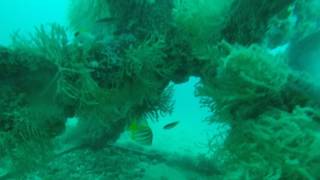 Dunsborough Artificial Reef Progress 8th April 2017 West Cluster [upl. by Aitnom]