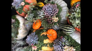 Plant Bar Live Show How to make Succulent Pumpkins [upl. by Alyce549]