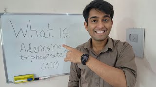 Learn What is Adenosine Triphosphate ATP  ATP  The Energy Currency of Cells  in Biology [upl. by Girardo]