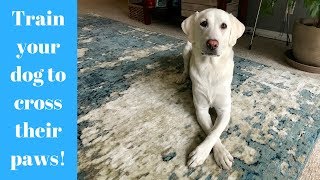 Train Your Dog to Cross Paws with Kyle Kittleson [upl. by Spanos179]