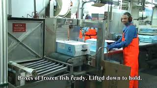 Freezing trawler fishing and processing fish fillets [upl. by Imyaj]