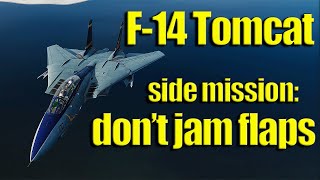 Revenge of the F14 Tomcat Dogfights Guns Only BFM DCS [upl. by Sorcim]