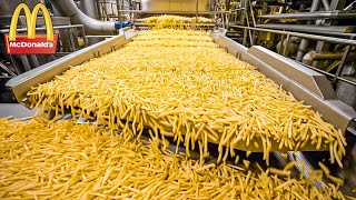 CÓMO SE HACEN LAS PAPAS FRITAS DE MCDONALDS LA PRODUCCIÓN DE ALIMENTOS [upl. by Ellehsyt]