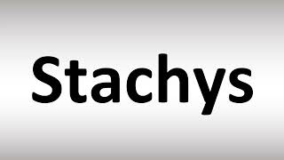 How to Pronounce Stachys [upl. by Malley]