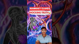 MAMMARY GLANDS The Shocking Truth Behind Their Function 😱  Biology NEET  Class 12th [upl. by Niret263]