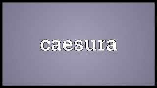 Caesura Meaning [upl. by Nref]