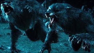 Top 10 Werewolf Movies REDUX [upl. by Ger]