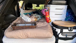 Solo Car Camping in a Chevy Equinox Beginning Set Up  Woman and 2 Dogs  No Build  Part 4 [upl. by Pegasus]