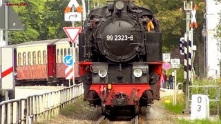 Dampfzüge in Bad Doberan  99 2322 amp 99 2323  Bäderbahn Molli  steam trains  Narrow Gauge [upl. by Seigler]