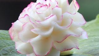 18 Darmowy kurs carvingu piwonia z kalarepy  Free carving course kohlrabi peony [upl. by Naot]