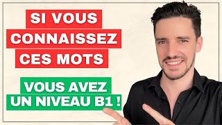 Connaistu ces mots  Niveau B1 [upl. by Uzial997]