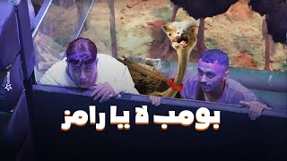 رامز جلال  صريخ حمو بيكا وكزبرة فى مواجهة نعام رامز جاب من الاخر  كزبرة quotبومب لا يا رامزquot [upl. by Stefanac]