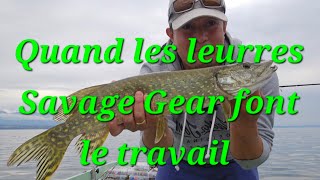 ☆ BROCHETS multi leurres ☆ Savage Gear leurre souple et swimbait [upl. by Aenet]