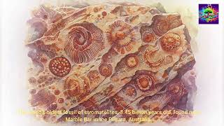 Origin of single cell organisms on Earth Billions of years ago Part 3 [upl. by Hsihsa]