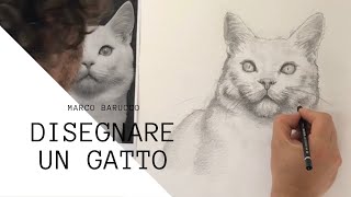 Disegnare un gatto  Lezione di disegno a mano libera [upl. by Dorette378]