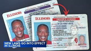 New Illinois laws taking effect on July 1 2024 [upl. by Jarid]