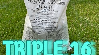 Benefits of TRIPLE 16 lawncare grass bermudagrass perennialryegrass creepingredfescue [upl. by Alyce439]