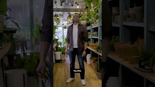 Can AIpowered glasses save my plants from me [upl. by Yzzik]