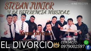 EL DIVORCIO STEBAN JUNIOR Y LA DIFERENCIA MUSICALAUDIO [upl. by Nagaek206]