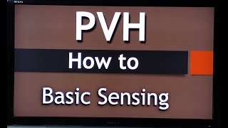 PVH Basic Sensing [upl. by Nina408]