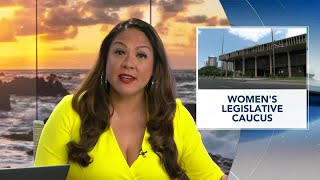 Hawaii women lawmakers push bills for working mothers abuse survivors [upl. by Handal532]