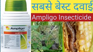 ampligo insecticide। syngenta ampligo। ampligo।insecticide [upl. by Kopp]