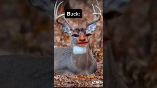 Livvy sent me this on pinterest😂🤣😭 deer [upl. by Llenil]