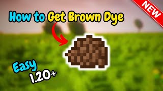 How to get brown dye in minecraft 2024 [upl. by Ellga]