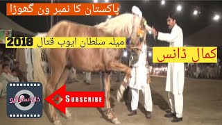 top dancing horseghora sholaSultan ayub qatal2024 Vedios the tapdancing horsehorsePunjab Rang [upl. by Ahsenyl903]