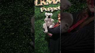 Folkmanis® Ringtailed Lemur Puppet Demo [upl. by Jeannine]