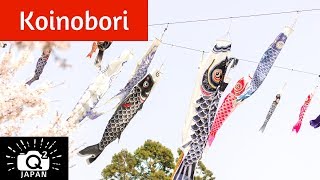 Tokunaga Koinobori in Okayama Japan 徳永鯉のぼり [upl. by Acissj260]