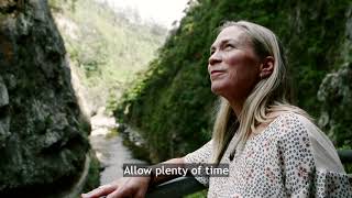 Travel Tips Karangahake Gorge New Zealand [upl. by Alexandro]