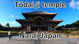 Great Buddha Hall  Tōdaiji temple Nara 2024 [upl. by Gavrilla170]