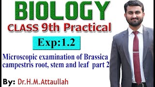 Microscopic examination of Brassica campestris root stem amp leaf 9th biology practical Exp12 part2 [upl. by Trinia]